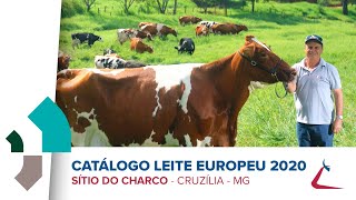 Lançamento Catálogo  Leite Europeu  2020  CRV Lagoa [upl. by Kerry968]