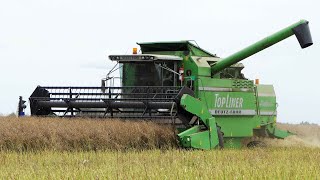 DeutzFahr 4068 HTS Combine harvesting Canola  Harvest 2023 [upl. by Izak544]