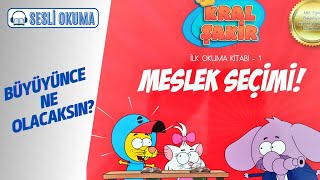 KRAL ŞAKİR MESLEK SEÇİMİ  Çocuklar İçin Sesli Okuma [upl. by Hayidah]