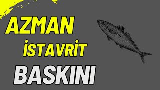 LRF İLE ATÇEK AZMAN İSTAVRİT AVI KATİL SİLİKON REİNS VE ANGELWORM [upl. by Arvind]