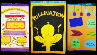 Biology project on Pollination for class 12th  Become unique  pdf in description Becomeunique [upl. by Yeldua571]