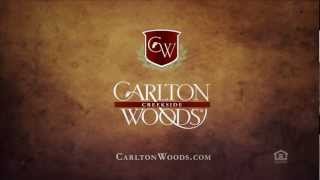 Carlton Woods  Its Time [upl. by Nortyad]