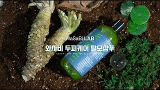 11번가X소비더마켓 와사비램 와사비샴푸 [upl. by Asum]