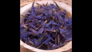 How To Make Echium Herbal Tea  آموزش دم نوش گل گاوزبان [upl. by Suzanna991]