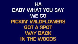 karaoke CB20611 07 Anderson Keith Pickin Wildflowers [upl. by Reteip]