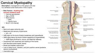 Cervical Myelopathy  Presentation Risk Factors amp SignsSymptoms [upl. by Ancel]