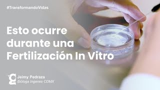 La Fertilización In Vitro te da una gran probabilidad de tener un bebé  Ingenes [upl. by Vinnie839]