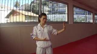 Heian Nidan  Karate Training Sonia Fiuza [upl. by Avik406]