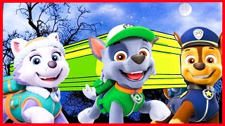 SUPER MEGAMIX PAW Patrol Compilation  Coffin Dance Meme Song [upl. by Martinez]