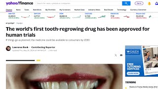 Update on human toothregrowing drug now set for September trials teeth [upl. by Aicilic]