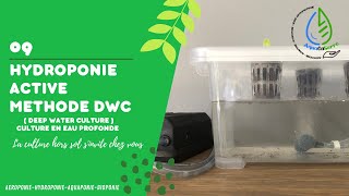 La méthode hydroponique DWC [upl. by Alisan611]