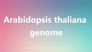 Arabidopsis thaliana genome  Medical Meaning [upl. by Asseniv13]