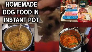 HOMEMADE DOG FOOD RECIPE COOKING IN INSTANT POT  HOW TO COOK HEALTHY DOG FOOD AT HOME [upl. by Leterg687]