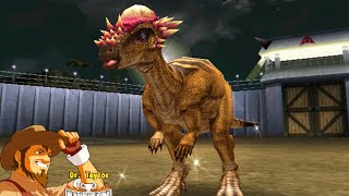 Pachycephalosaurus Gameplay  Showcase  Dinosaur King Arcade Game 恐竜キング [upl. by Just352]