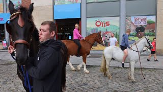 I was coming here in me mothers stomach Dublin horse owners protest fair restrictions [upl. by Eisinger]