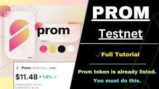 PROM Testnet is Live  Full tutorial [upl. by Leirud]