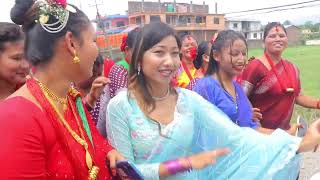 Tharu Full Wedding Video  Hardi Chitwan [upl. by Einnaoj]