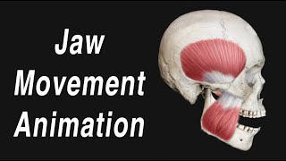 Anatomy of Jaw Motion  TMJ Articular Disc and Muscles [upl. by Grodin]