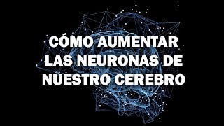 Cómo Aumentar La Producción De Neuronas De Nuestro Cerebro [upl. by Engis]