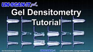 Gel Densitometry Tutorial [upl. by Naik208]