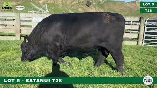 Lot 5  Ratanui T28  2024 [upl. by Aek]