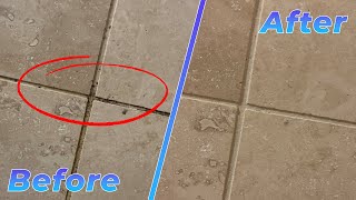 How To Remove Stubborn Black Mold On Grout or Caulk In Bathroom Showers amp Tubs [upl. by Rialb826]