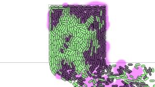 Coupled Oscillations in a Chemostat [upl. by Snah]