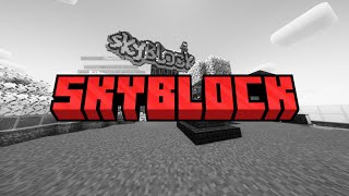 Hablemos sobre SKYBLOCK y por que debe de renovarse [upl. by Nainatrad]