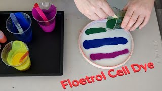 Floetrol Cell Dye MVP Fission Tesla  Arctic Kats Disc Golf [upl. by Ahselaf]