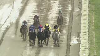 MONMOUTH PARK 842024 RACE 6 [upl. by Sarchet]