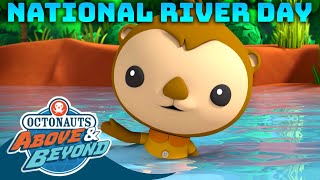 Octonauts Above amp Beyond  🌊 River Run 🏃  National River Day Compilation  Octonauts​ [upl. by Kappenne]