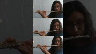 Tchaikovsky The Nutcracker Dance of the Mirlitons Flute Trio Excerpt flute classicalmusic [upl. by Oirromed]