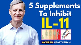 5 Supplements To Inhibit IL11 [upl. by Crompton]