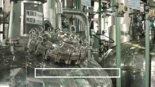 cGMP Manufacturing in Panoli India [upl. by Hillie]