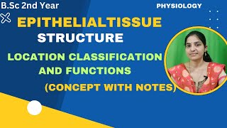 Structure Location Classification And Function Of Epithelial Tissue BSc 2nd Yearepithelialtissue [upl. by Acnaiv860]