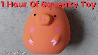 1 Hour Of Squeaky Pig Egg Toy [upl. by Hcnarb64]