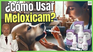 🔴 MELOXICAM PARA PERROS DOSIS ¿PARA QUE SIRVE Y PRECIO 🔴 [upl. by Nollad222]