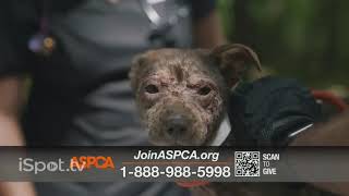 aspca commercial 2023 [upl. by Tem]