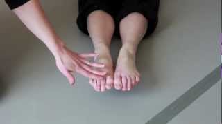 How To Point and Shape the Feet in Tendu [upl. by Haimirej]