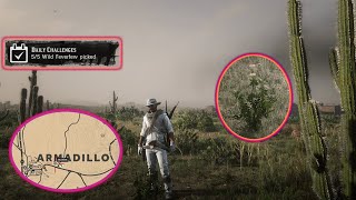 RDR2 Online  Wild Feverfew locations BEST spots AND a jump scare [upl. by Enier]