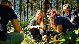 Tag des Waldes  Was wir privat im Wald treiben short [upl. by Sawyor]