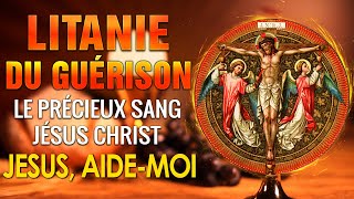 LITANIE du PRÉCIEUX Sang de JÉSUS 🙏 PRIÈRE de PROTECTION par le SANG PRÉCIEUX de JÉSUS [upl. by Peterson199]