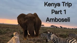 Kenya Safari  Amboseli National Park  Part 1 [upl. by Nhguavoj54]