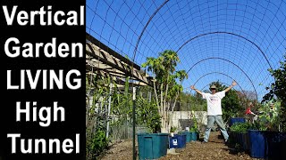 Vertical Gardening High Tunnel Trellis Grow Cucumbers Beans Squash Tomatoes Flowers Vegetable Garden [upl. by Evangelin630]