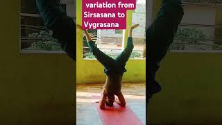 STUNNING VARIATION FROM SIRSASANA TO VYGRASANA FOR VIGOR  STRENGTH STAMINA AND ENDURANCE 🌹🌹🌹🌹🌹 [upl. by Ateikan]