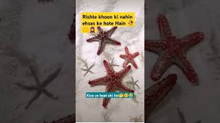 Rishte khun ke nahin ehsas ke hote HainNoorani tasbihstatus motivation😭🤲🥺🥀😱 [upl. by Blane]