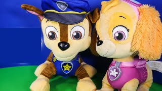 Introducing the Paw Patrol Skye amp Chase Talking Figures [upl. by Iarised]