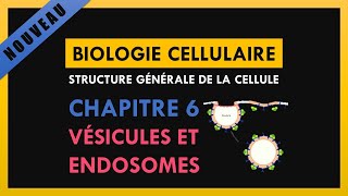 Structure générale de la cellule Chapitre 6 Vésicules et endosomes [upl. by Octavius]