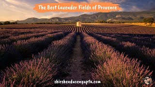 Ultimate Guide to Visiting Best Lavender Fields of Provence France with Itinerary amp GPS Addresses [upl. by Riancho]