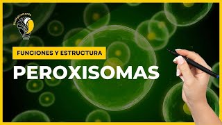 PEROXISOMAS  Funciones y estructura 😀 [upl. by Einnod]